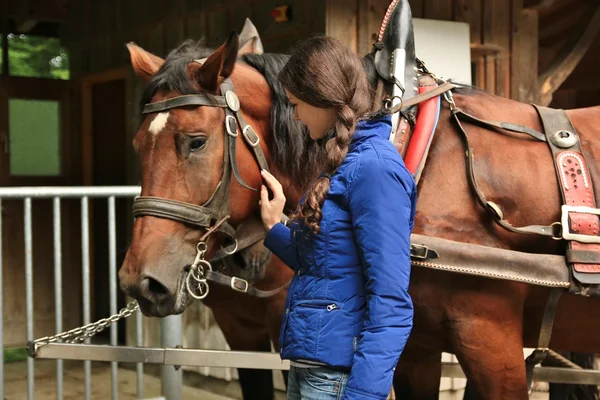 Flicka och en häst — Stockfoto