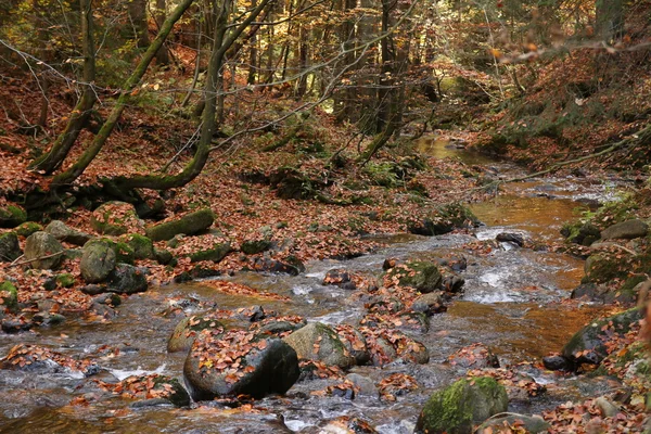 Ποταμός το φθινόπωρο — Φωτογραφία Αρχείου