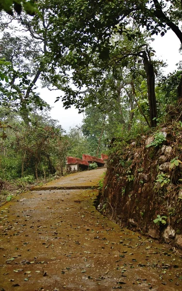 Maharishi Mahesh Yogi Ashram — Stock fotografie