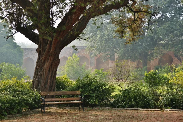 Bench a fa alatt a parkban — Stock Fotó