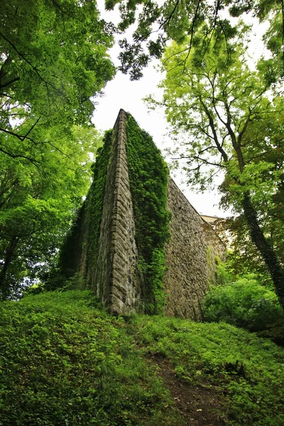 Viejo muro de piedra del castillo —  Fotos de Stock