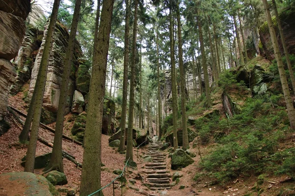 Escalier en pierre dans la forêt — Photo