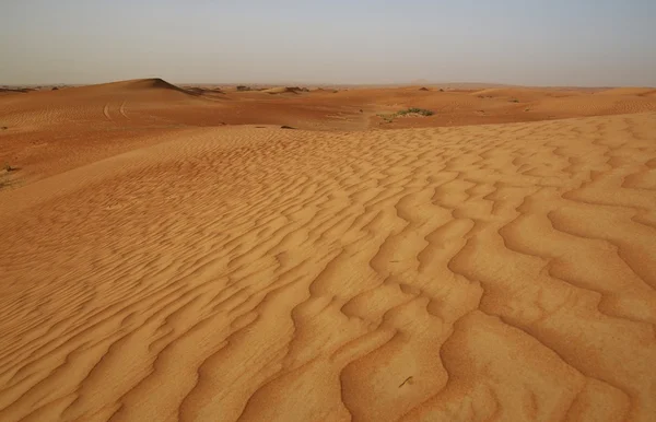 Rode zand van woestijn in de buurt van Dubai — Stockfoto