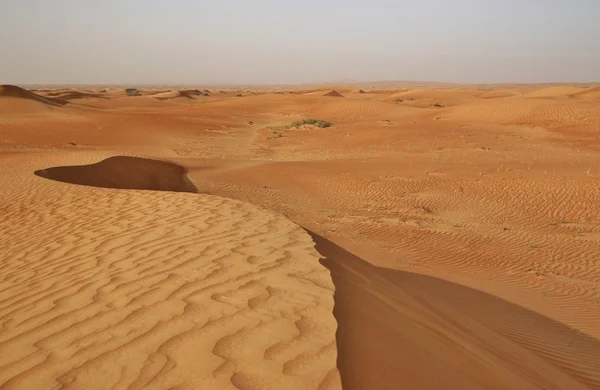 Rode zand van woestijn in de buurt van Dubai — Stockfoto