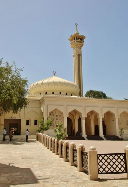 Kleine Arabische licht geel — Stockfoto