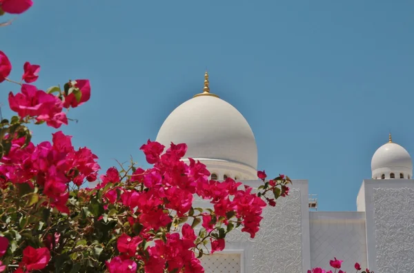 Sheikh Zayed Bin Sultan Al Nahyan mecset Abu Dhabiban — Stock Fotó