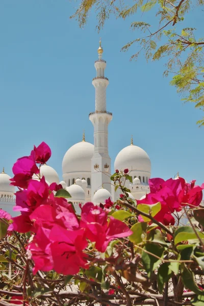 Sheikh Zayed Bin Sultan Al Nuhayyan moskee in Abu Dhabi — Stockfoto