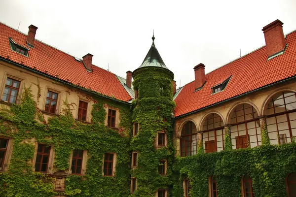 Binnenplaats en hoek toren in kasteel Hruba Skala — Stockfoto