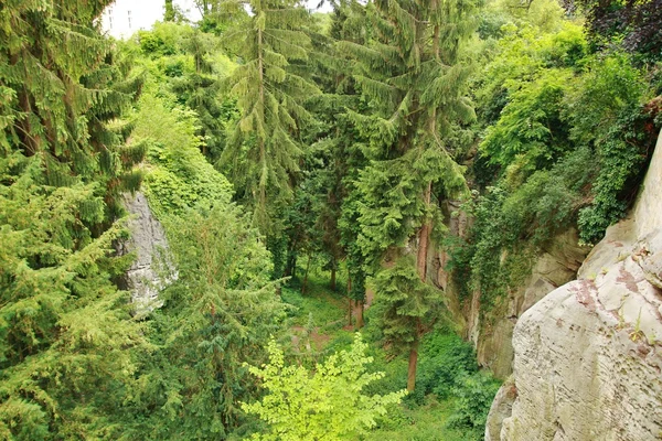 Rocce di arenaria nel Parco Nazionale Paradiso Boemo — Foto Stock