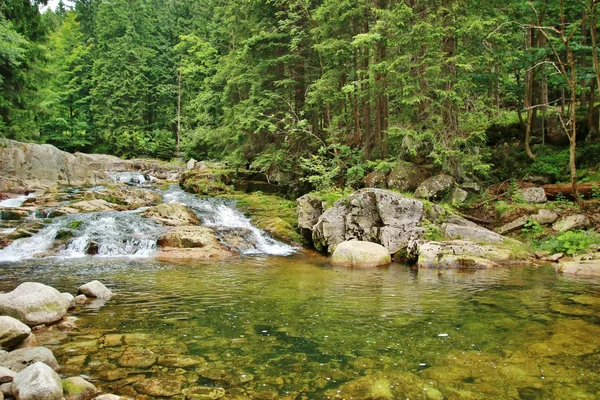 Górska rzeka — Zdjęcie stockowe