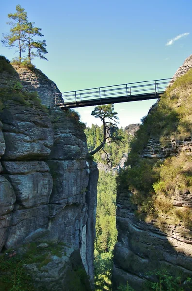 Мост в горах Саксонской Швейцарии возле Бастея — стоковое фото