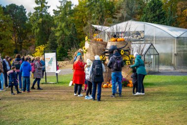 Prag, Çek Cumhuriyeti - 25 Ekim 2025: Prag botanik bahçesinde balkabağı sergisindeki insanlar. Sonbahar kutlaması, hasat mevsimi ve doğal güzellik kavramı. Yüksek kalite fotoğraf