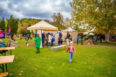 Prag, Çek Cumhuriyeti - 25 Ekim 2025: Prag botanik bahçesinde balkabağı sergisi. Sonbahar kutlaması, hasat mevsimi ve doğal güzellik kavramı. Yüksek kalite fotoğraf
