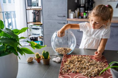 Küçük bir kız gelecekteki bitki örtüsü ya da kapalı ekosistem için cam kaplara taş döküyor. Elle öğrenme, çevre dostu yaratıcılık ve doğaya dayalı projelere erken katılım. 