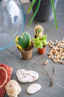 Kapalı bir teraryum ya da cam ekosistem oluşturmak için hazırlanmış doğal malzemeler ve dekoratif elementler. DIY bitki tasarımı, ekolojik bilinçli yaşam ve yaratıcı ev projeleri kavramı. Yüksek kalite fotoğraf