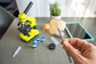 Bir insan mikroskop altında incelemeden önce soğan kabuğunu cımbızla soyar ve masada daha fazla bilimsel malzeme bulundurur. Bilim eğitimi kavramı ve çocuklar için ev deneyleri.