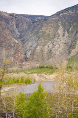 Chulyshman Vadisi 'ni saran dağ kayalıkları Altai Rusya' nın yüksek kayaları ve düşen sularıyla dramatik doğal manzarasına sahiptir. Yüksek kalite fotoğraf