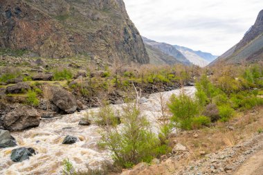 Bahar mevsiminde Altai Dağı 'nın etrafını saran hızlı akan Chulyshman nehri karları eritmek uzak doğada güçlü bir su akıntısı yaratır. Yüksek kalite fotoğraf