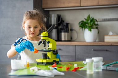 Elinde kristal büyüten ve ev bilimi deneyi sırasında mikroskop altında detaylı incelemeye hazırlayan genç bir kız. Kristal büyüyen aktivite yoluyla BTMM eğitimi ve pratik öğrenme.