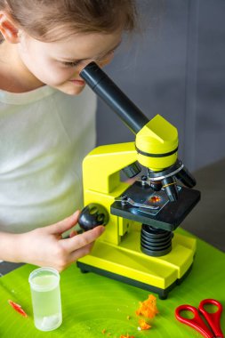 Ev bilimi deneyi sırasında mikroskoptan bakan genç bir kızın yakın portresi. Odaklanmış bilimsel gözlem ve erken STEM eğitimi, araştırma faaliyetleri yoluyla