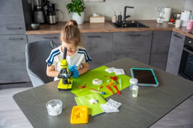 Kristal yapısını mikroskopla inceleyen genç bir kız. Büyüyen kristallerle yapılan deney sırasında. Erken STEM eğitimi ve merakı, bilimsel keşifleri yurtiçinde yürütüyor