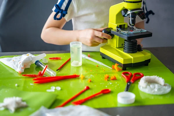 Laboratuvar masasındaki kristal inceleme sırasında mikroskop ayarlayan kız ellerini kapat. Uygulamalı bilimsel çalışma ve ayrıntılı gözlem süreci yoluyla BTMM eğitimi