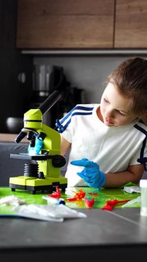 Kristal yapısını mikroskopla inceleyen genç bir kız. Büyüyen kristallerle yapılan deney sırasında. Erken STEM eğitimi ve merakı, bilimsel keşifleri yurtiçinde yürütüyor