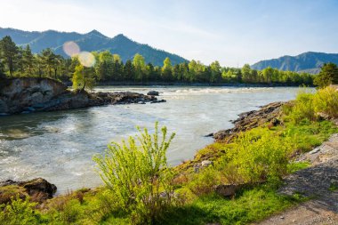 İlkbaharda Rusya 'daki Altai dağlarıyla çevrili Katun nehri. Eriyen sular ve uyanan doğa canlı mevsimsel manzaralar yaratır. Yüksek kalite fotoğraf