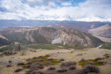 Kurai Steppe 'in Altai Rusya' da karla kaplı Kuzey Chuysky Sırtı ile panoramik görüntüsü. Geniş Sibirya dağ manzarası kış arazileri ve açık düzlükler sergiliyor. Yüksek kalite fotoğraf