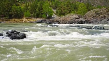 Yelandinsky Altai Rusya 'daki Katun nehrinde akıntıya kapıldı. Güçlü dağ deresi ünlü rafting noktasındaki kayaların üzerine düşüyor. Yüksek kalite 4k görüntü
