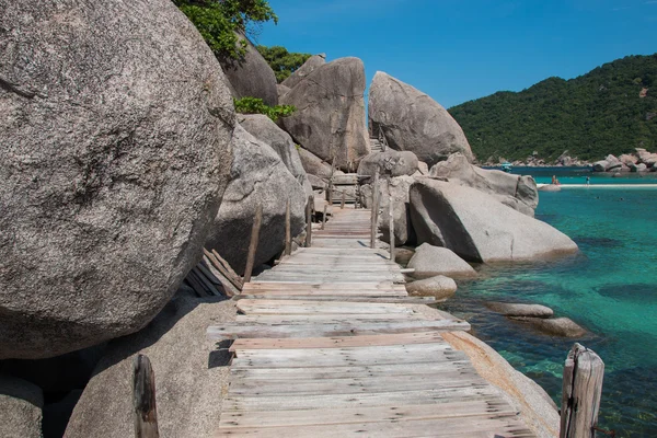 Paradise Beach, fahíd — Stock Fotó