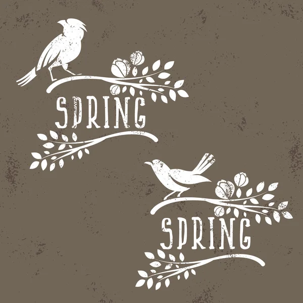 枝に葉と花の春鳥のラベルのセット — ストックベクタ