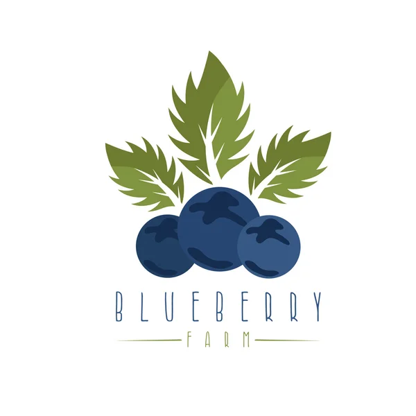 蓝莓农场矢量设计模板 — 图库矢量图片