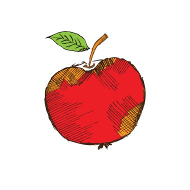 illüstrasyon izole üzerine beyaz bir elma vektör