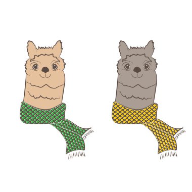 şirin hipster alpaka atkı ile