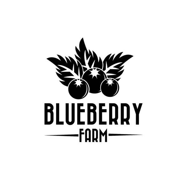 Blueberry farm illustration — Stock Vector