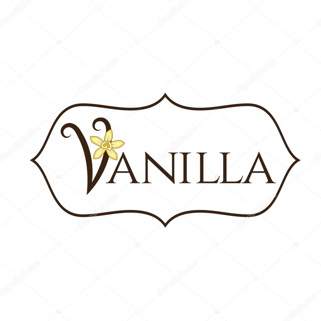 Illustration vanilla flower with text .Vector