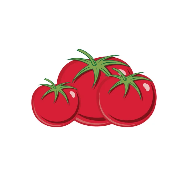 Rojo tomates maduros vector ilustración aislado en fondo blanco — Vector de stock