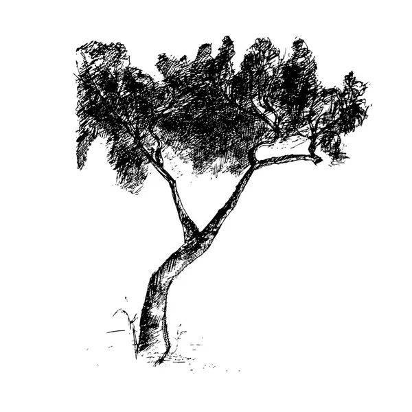 Ilustracja drzewa rysowane ręcznie. Wektor — Wektor stockowy