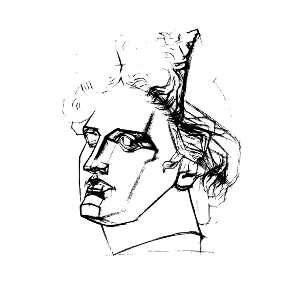 Иллюстрация академического рисунка головы Аполлона Бельведера — стоковый вектор
