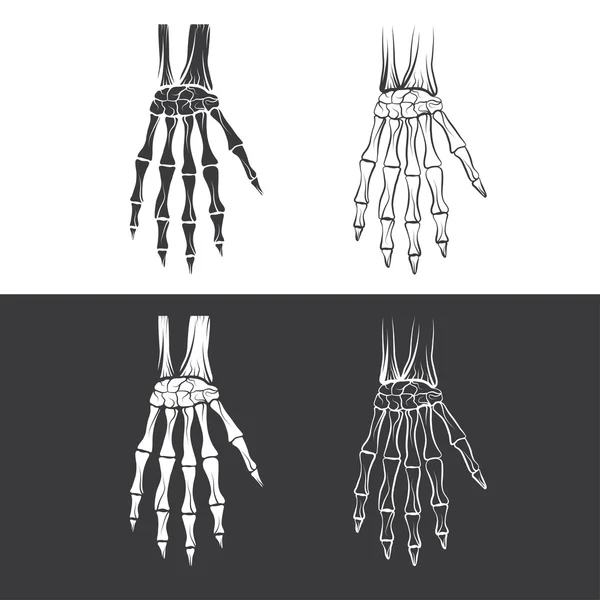 Set of skeleton hands — Stock Vector