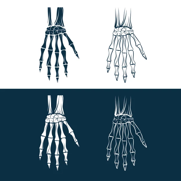 Set of skeleton hands — Stock Vector