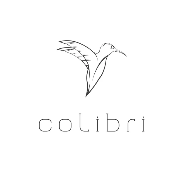 Modello di progettazione vettoriale colibrì — Vettoriale Stock