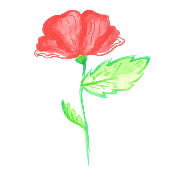 Poppy-illustrasjon med vannfarger. Vektor – stockvektor