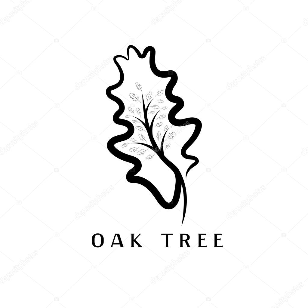 vector illustration of oak tree in the leaf