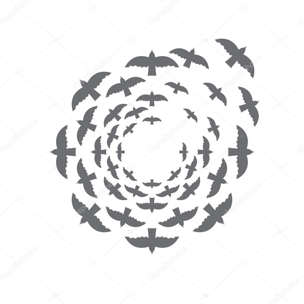 Bird circle vector design template