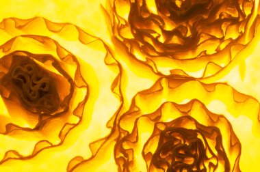 Mavi arkaplanda beyaz düğüm