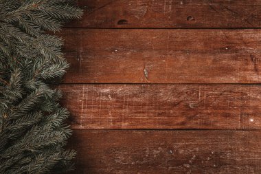  Köknar dallarıyla ahşap kaplama, güzel bir Noel arkaplanı ve mesaj için boş bir alan. Yüksek kalite fotoğraf