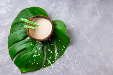 Hindistan cevizi sütü ile hindistan cevizi kabuğu üzerinde yeşil canavar yaprağı gri arka planda, fotokopi alanı ile fotoğraf