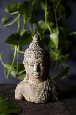  Metin dikey fotoğraf için koyu arkaplan fotokopi alanı üzerinde Buda heykeli